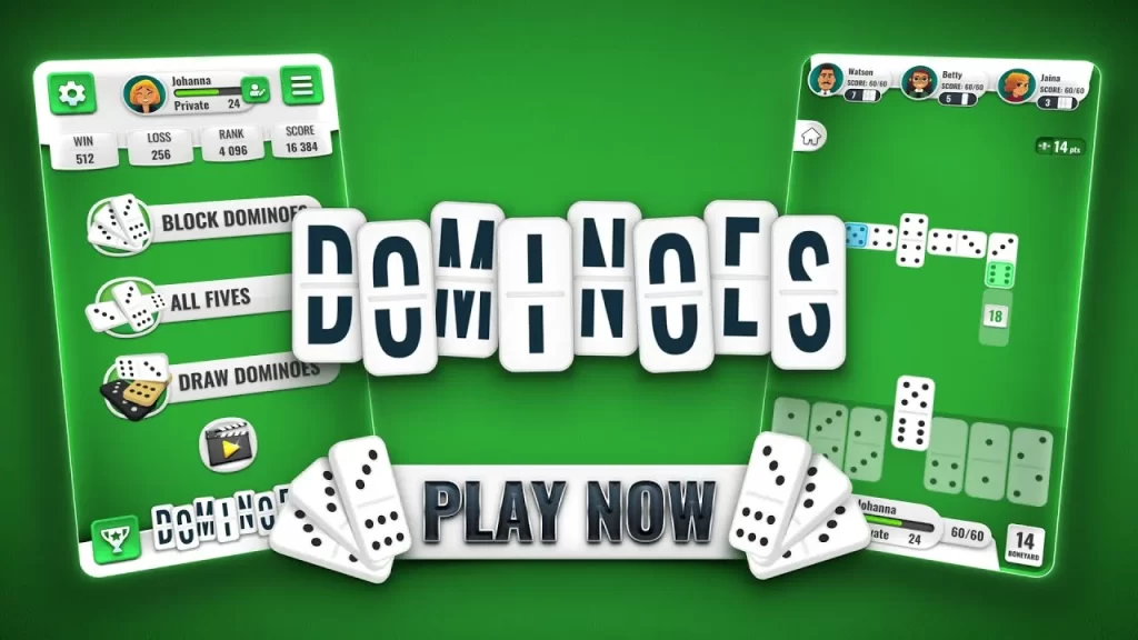 Introduction to Domino Game