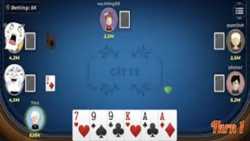 Show you how to learn the past 2 rounds with the card game when playing Catte